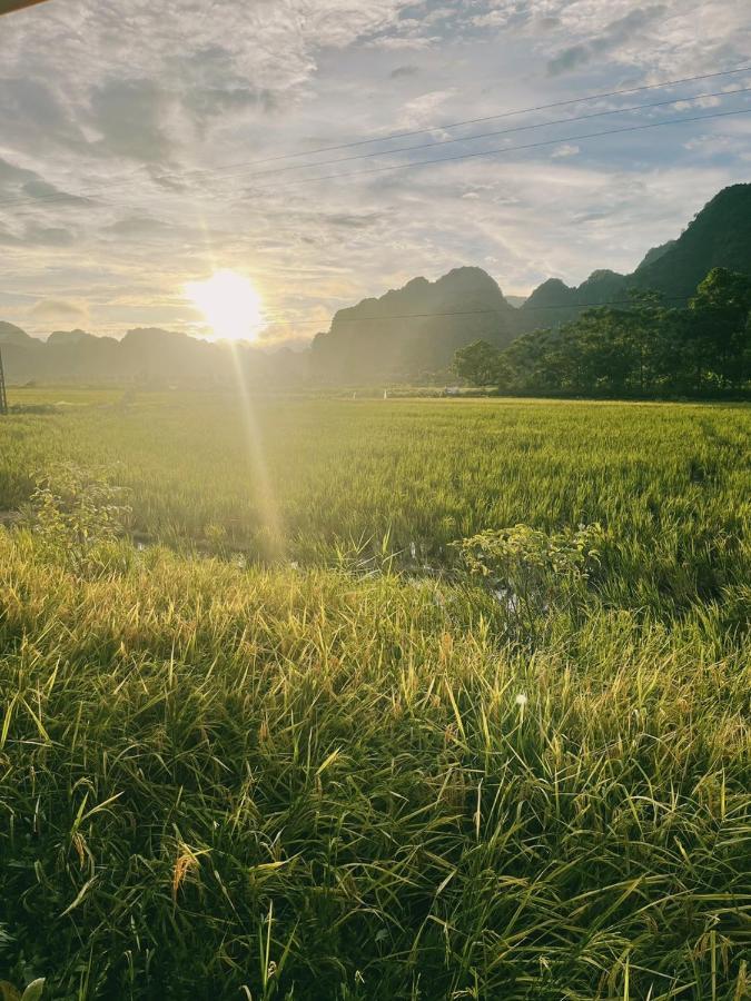 Tam Coc Windy Fields Villa Ninh Binh Eksteriør bilde