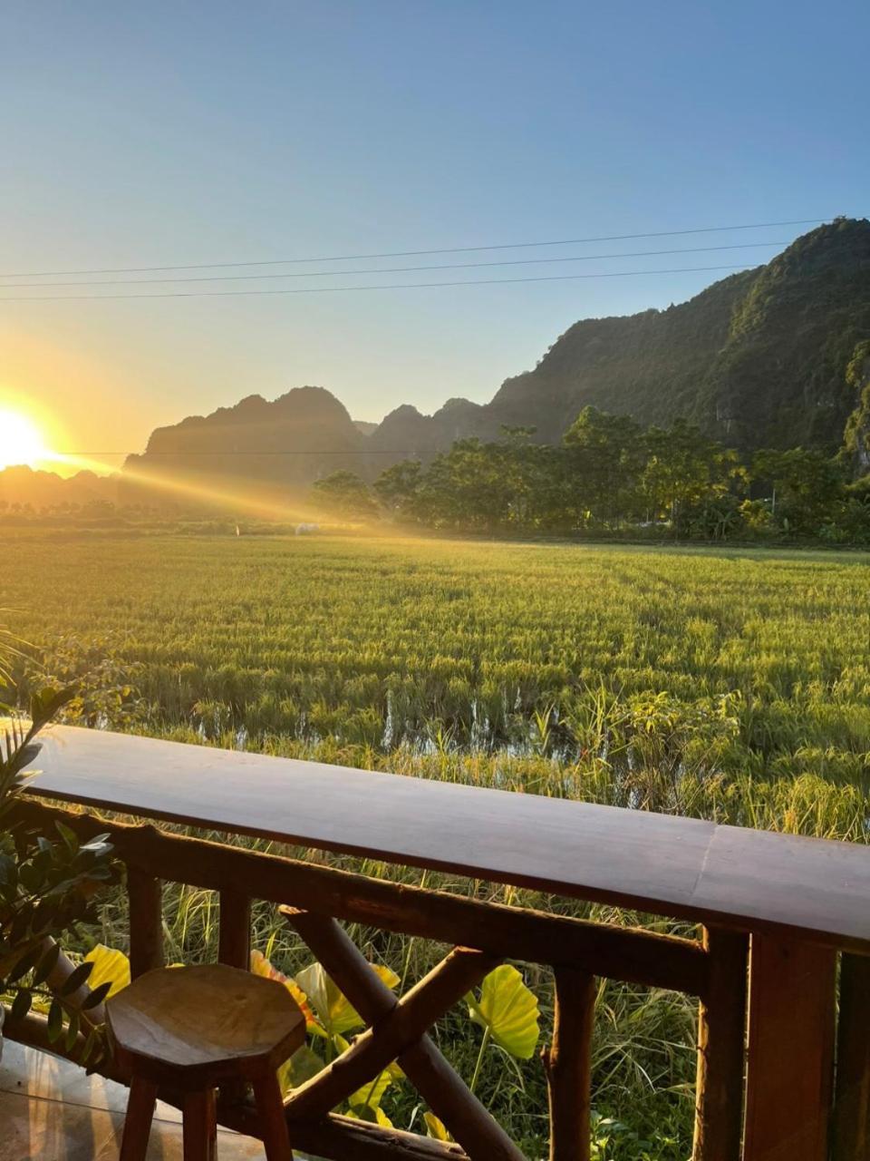 Tam Coc Windy Fields Villa Ninh Binh Eksteriør bilde
