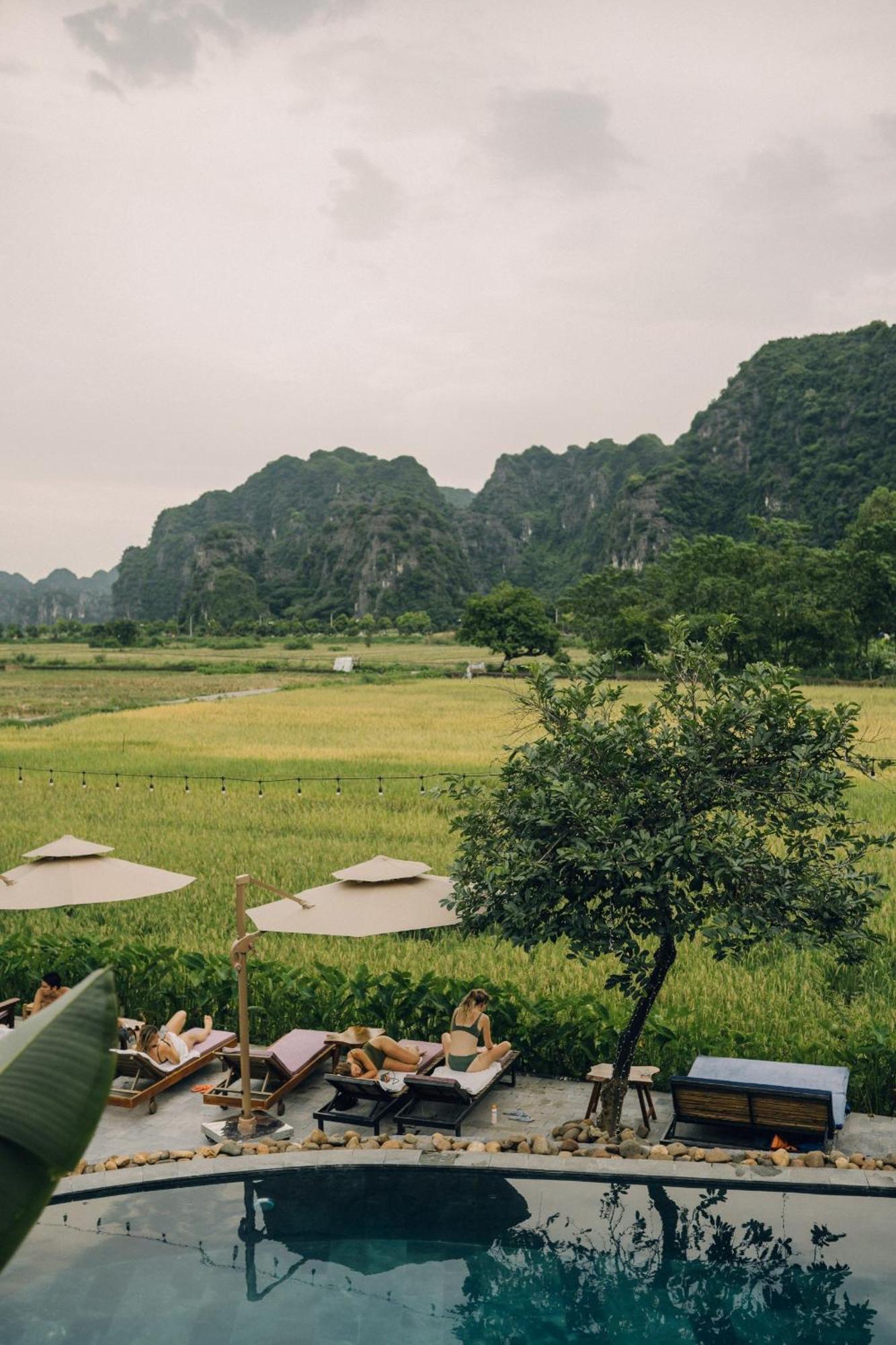 Tam Coc Windy Fields Villa Ninh Binh Eksteriør bilde