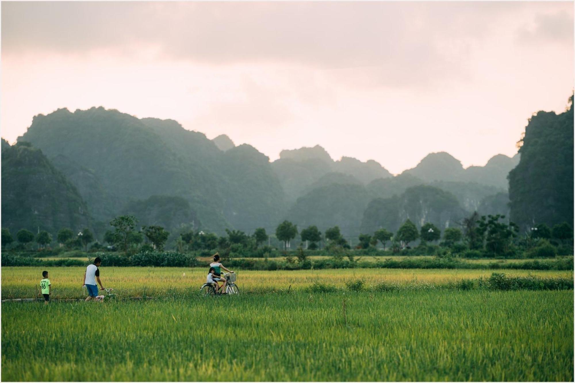 Tam Coc Windy Fields Villa Ninh Binh Eksteriør bilde
