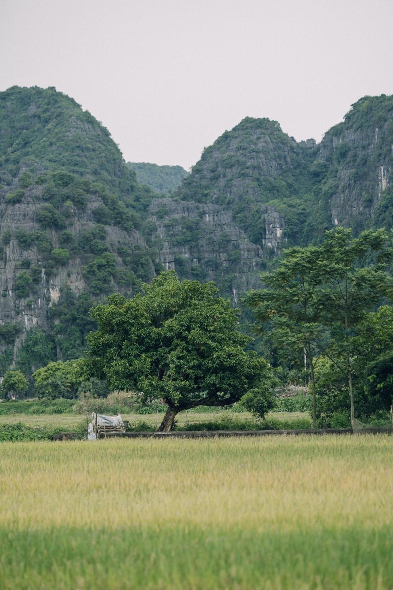 Tam Coc Windy Fields Villa Ninh Binh Eksteriør bilde